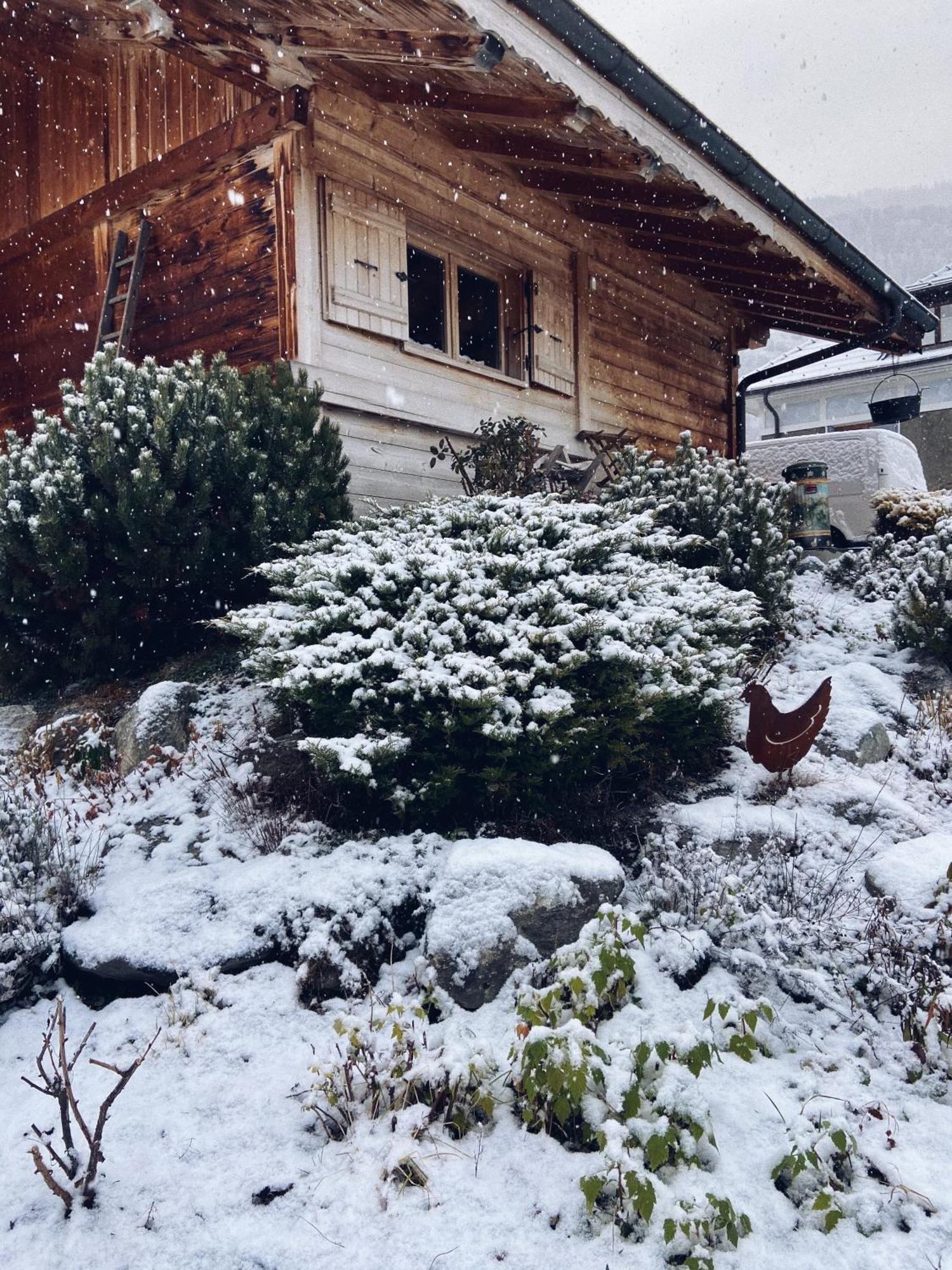 ブール・サン・モーリス Grand Chalet A La Montagneヴィラ エクステリア 写真